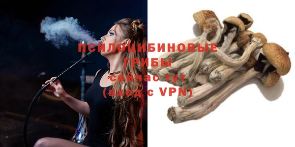 стафф Богородск